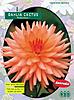     
: 5040 Dahlia Cactus Preference.jpg
: 6
:	71.5 
ID:	11333