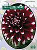     
: 5190 Dahlia Decoratief Mistery Day.jpg
: 7
:	67.7 
ID:	11336