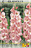     
: 81540 glad cimarosa.jpg
: 9
:	34.7 
ID:	11378