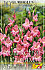     
: 87590 glad Tubergenii.jpg
: 8
:	64.5 
ID:	11380