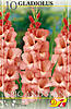     
: 82140 glad Spic&Span.jpg
: 8
:	73.7 
ID:	11383