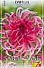     
: 72210 DAHL Sarah Mae.jpg
: 6
:	62.2 
ID:	11386