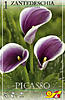    
: 09810 CALL picasso.jpg
: 6
:	26.0 
ID:	11454