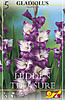     
: 81740 glad hidden treasure.jpg
: 5
:	33.7 
ID:	11525