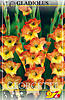     
: 85320 glad Georgette.jpg
: 4
:	82.5 
ID:	11526