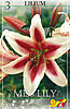     
: 68560 lilium Miss Lily.jpg
: 4
:	50.7 
ID:	11528