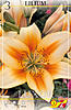     
: 66140 lilium luxor.jpg
: 5
:	63.2 
ID:	11529