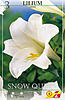     
: 65560 lilium S Queen.jpg
: 1
:	43.0 
ID:	11620