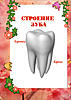     
: 1 copy.jpg
: 41
:	92.9 
ID:	12307