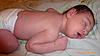     
: P1020142.jpg
: 26
:	91.0 
ID:	13122