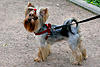     
: лилу1.jpg
: 61
:	101.0 
ID:	13851