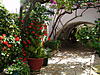     
: DSC01776.jpg
: 6
:	101.4 
ID:	1506