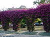     
: DSC01922.jpg
: 7
:	96.7 
ID:	1509