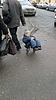     
: 2012-03-03-003.jpg
: 14
:	98.3 
ID:	15460