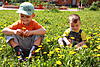     
: IMG_6148.jpg
: 145
:	106.5 
ID:	15521