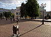     
: dramteatr.jpg
: 9
:	95.6 
ID:	15914