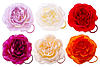     
: img_0203_0.jpg
: 3
:	74.3 
ID:	16750