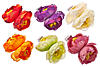     
: img_7474_0.jpg
: 8
:	72.9 
ID:	17223