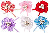     
: img_1304_0.jpg
: 0
:	65.7 
ID:	17366