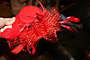     
: IMG_0395.jpg
: 16
:	90.0 
ID:	17562