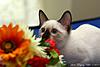     
: 0_95534_53d56700_XL.jpg
: 13
:	94.3 
ID:	18013