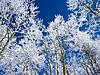     
: 116153519622_10.jpg
: 8
:	103.9 
ID:	18422