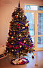     
: IMG_3812.jpg
: 170
:	91.1 
ID:	19086