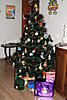     
: IMG_6239.jpg
: 93
:	100.5 
ID:	19181