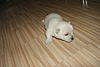     
: DSC00762.jpg
: 118
:	83.2 
ID:	19214
