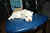     
: DSC00750.jpg
: 99
:	86.5 
ID:	19215