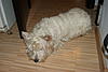     
: DSC00760.jpg
: 122
:	90.8 
ID:	19216