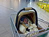     
: 02122008284.jpg
: 28
:	87.6 
ID:	20549