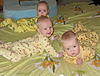     
: IMG_2013.JPG
: 254
:	97.4 
ID:	20990