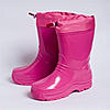     
: show_i2mage_in_imgtag.jpg
: 1
:	16.5 
ID:	21667