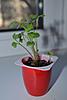     
: DSC_0038.jpg
: 105
:	69.6 
ID:	22759