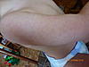    
: P1060449.jpg
: 71
:	86.4 
ID:	22977