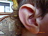     
: P1060450.jpg
: 50
:	87.1 
ID:	22985