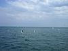     
: 0_2ebef_5da83dd8_L.jpg
: 16
:	37.7 
ID:	23028