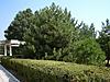     
: 0_2ebbf_473b276b_L.jpg
: 16
:	75.5 
ID:	23029