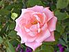     
: 0_2ebe8_c4852c33_L.jpg
: 14
:	43.6 
ID:	23031