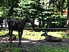     
: IMG_2463_m.jpg
: 99
:	100.5 
ID:	23396