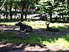     
: IMG_2459_m.jpg
: 80
:	101.9 
ID:	23397