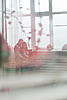     
: foto internet-33.jpg
: 206
:	33.9 
ID:	23508