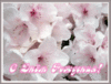     
: 1940-2.gif
: 7
:	52.3 
ID:	23936