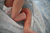     
: IMG_1263.jpg
: 121
:	79.3 
ID:	2432