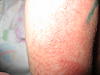     
: IMG_4283.jpg
: 59
:	91.4 
ID:	2437