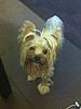     
: Sophi_06082013.jpg
: 26
:	100.0 
ID:	24402