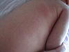     
: IMG_4294.jpg
: 57
:	111.4 
ID:	2443