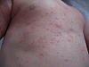    
: IMG_4292.jpg
: 58
:	97.1 
ID:	2447