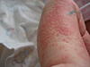     
: IMG_4285.jpg
: 66
:	91.6 
ID:	2449
